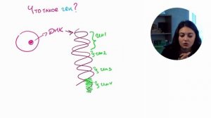 Что такое ген? Введение в генетику.