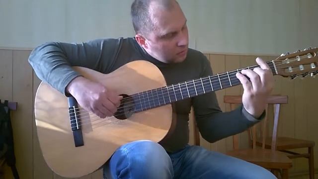 Ария Воля и Разум.Фингерстайл смотреть онлайн