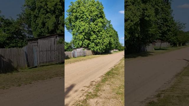 Обзор дома ,продаётся за 3000$ в деревне Красное Село,Слуцкий район,Минская область. смотреть онлайн