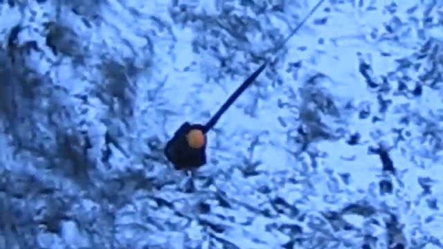 11 Чей-то прыжок %Name% смотреть онлайн