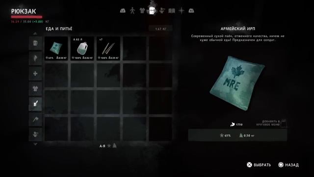 The Long Dark смотреть онлайн