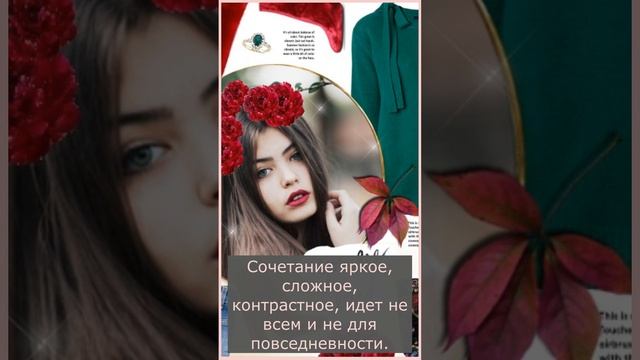 Сочетание цветов. Холодный зеленый и теплый красный смотреть онлайн
