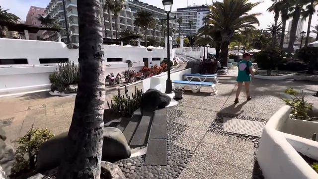 Das ganze ist eine Gelddruckmaschine | Puerto de la Cruz | Camping | Teneriffa Tour #8 смотреть онлайн