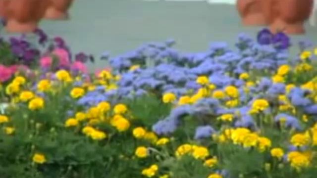 Экскурсия по Омску 1 часть смотреть онлайн