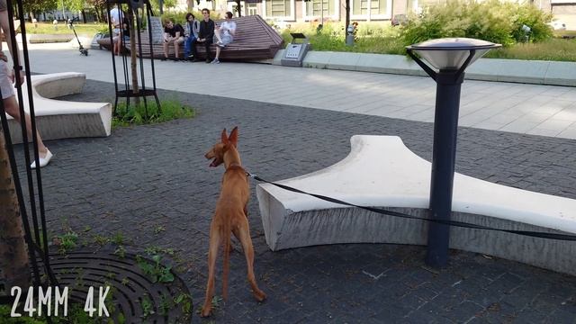 Xperia 1 II - Пожалуй Лучший Смартфон