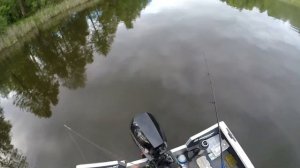 Рыбалка на КРУПНУЮ КРАСНОПЕРКУ / Бомбарда и спиннинг ультралайт / Рыбалка на Днепре