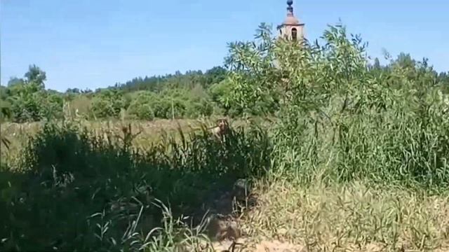 Задорный Сплав по р.Киржач смотреть онлайн