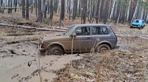 3 Нивы на бездорожье. Поездка на Марков камень