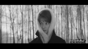 Алёшкина любовь