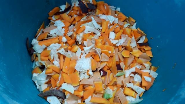 СОЧНЫЙ КОРМ ДЛЯ ПЕРЕПЕЛА. Мясо сочное имея натуральный вкус. смотреть онлайн