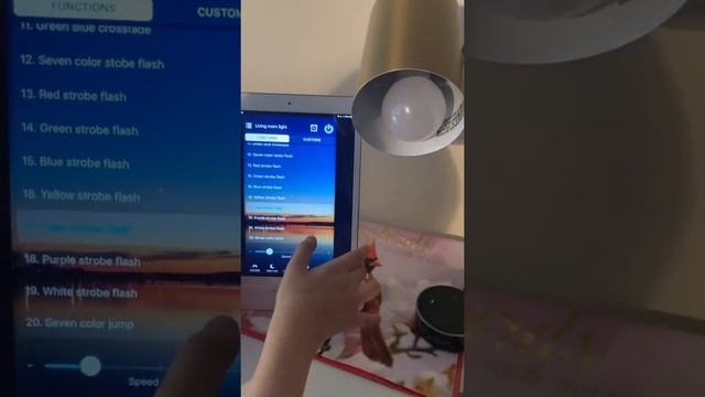 Magic home pro light bulb! смотреть онлайн