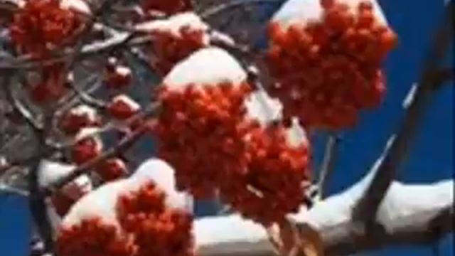 ода осени.wmv смотреть онлайн