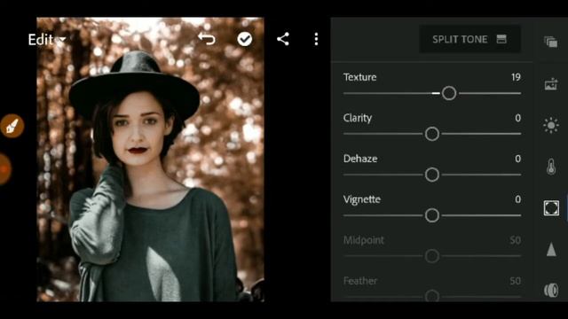 lightroom retouching | Deep brown lightroom editing | lightroom editing | lightroom edits #lightroo смотреть онлайн