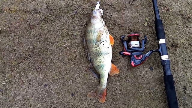 Спиннинг. джиг. смотреть онлайн