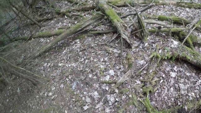 Коп в лесу Ищем сарай смотреть онлайн