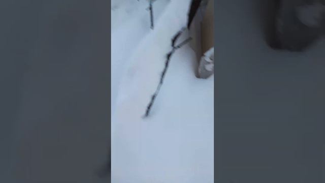 Зимой не чего не хочется делать. смотреть онлайн