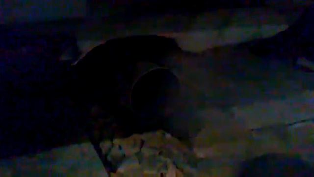 мой выхлоп Pro sprt смотреть онлайн