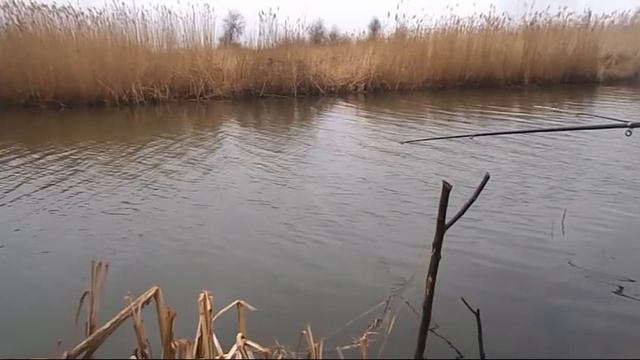 Рыбалка на удочку 19 марта смотреть онлайн