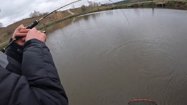 Ловля осенней форели на «Чистых Прудах» | Платная рыбалка в Нижнем Новгороде | Осенний спиннинг 202 смотреть онлайн