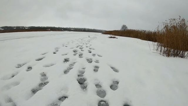 Рыбалка Тамбов.Здесь рыбы нет?,но природа огонь. смотреть онлайн