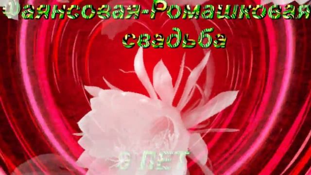 ФУТАЖ.СКАЧАТЬ БЕСПЛАТНО. РОМАШКОВАЯ СВАДЬБА. ГОДОВЩИНА 9 ЛЕТ!!! смотреть онлайн