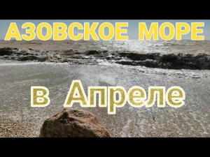 Ясенская переправа в Апреле. 2022г. Ейский район, Краснодарский край.