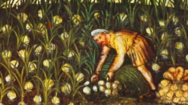 ИНТЕРЕСНЫЕ ФАКТЫ ПРО ДРЕВНЮЮ ГРЕЦИЮ смотреть онлайн