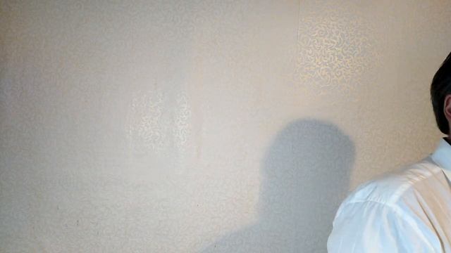 Патологоанатом Шкунов Виталий смотреть онлайн