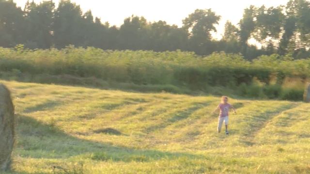 ребенок и аисты смотреть онлайн