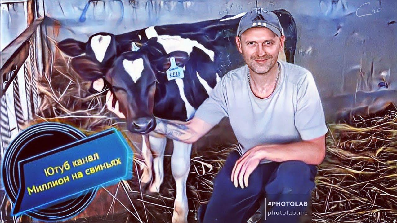 СПАСАЮ ОТ ЖАРЫ СВИНОМАТОК‼️ПРИВЕЗ ОПИЛОК И СЕНО‼️ПОКРАСИЛИ СТЕНЫ ‼️ смотреть онлайн