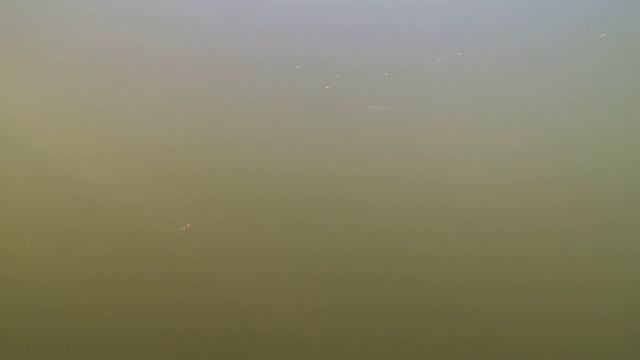 Игра блесны Pontoon21 SINUOSO