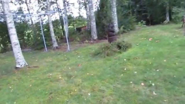 Грибы 2021 смотреть онлайн