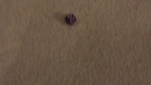 Non-Content: Cat Rolls Dice смотреть онлайн