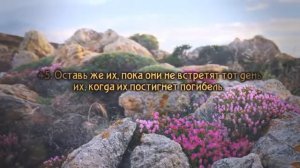 Идрис Абкар сура ат Тур аяты 40 - 49