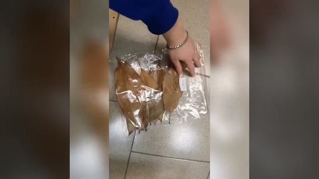 Субстрат для террариума Красиво. Просто. Быстро. Натурально. /субстрат в террариум для ленивых смотреть онлайн