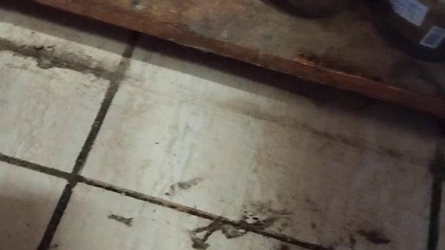 Съёмный плинтус смотреть онлайн