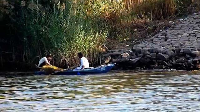 Life on the Nile. смотреть онлайн