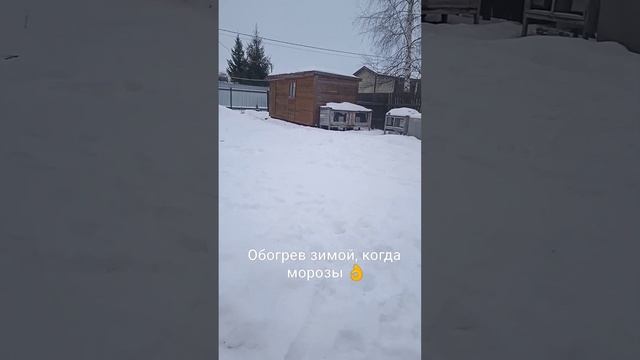 ОБОГРЕВ САРАЙ ЗИМОЙ, ЧЕМ И КАК!? КОГДА НЕТ ЭЛЕКТРИЧЕСТВА #shorts смотреть онлайн