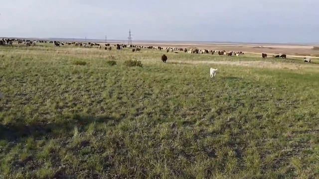 На Пределе Возможностей смотреть онлайн