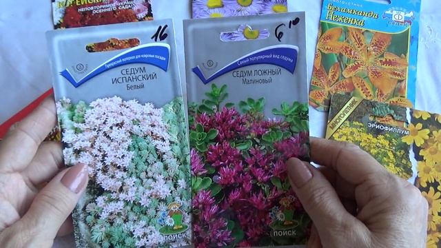 Беламканда, эриофиллум, эригерон и т д смотреть онлайн