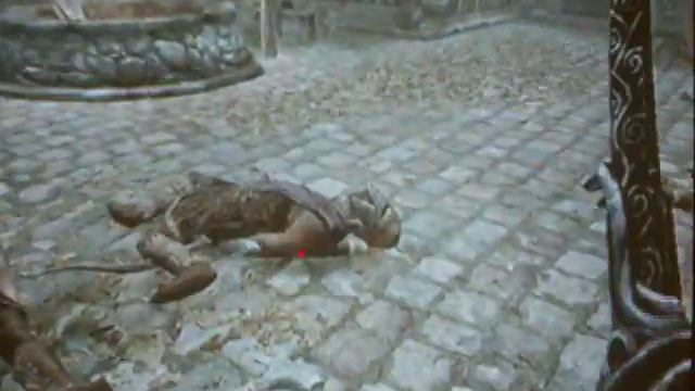 un vieux carnage sur skyrim ^^ смотреть онлайн