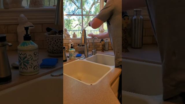 How to grow Spiral Aloe Plants from seeds without a green thumb смотреть онлайн