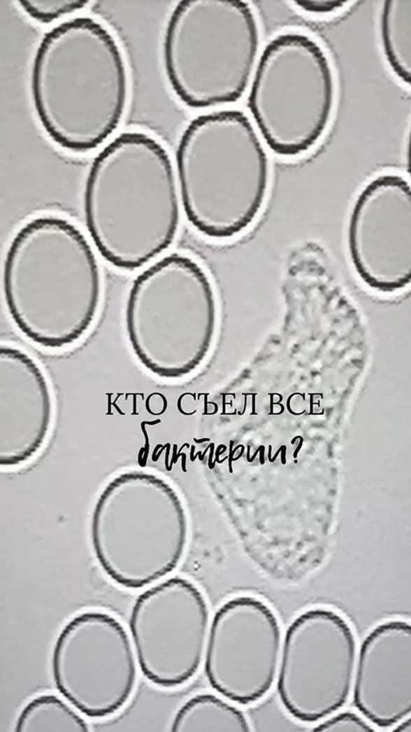 Кто съел все бактерии? смотреть онлайн