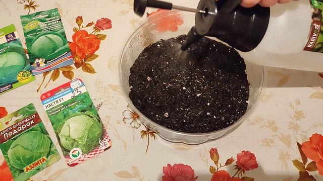 Посев ранней капусты. смотреть онлайн