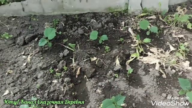 Дырка на дырке дыркой погоняет. смотреть онлайн