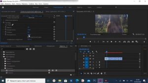 Как Сделать ЧЕРНО-БЕЛОЕ Видео в ADOBE PREMIERE PRO