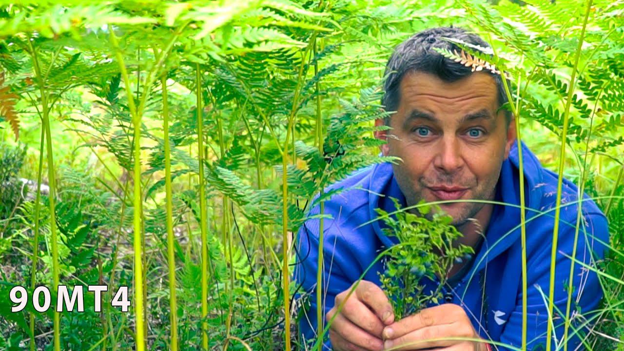 Научиться вставать раньше. Зеркалам улыбаться чаще. Стихи