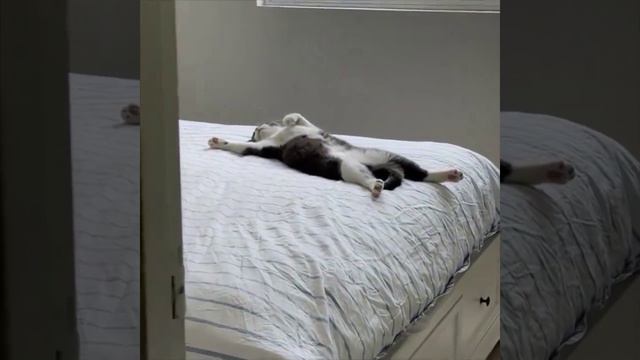 Утро выходного дня смотреть онлайн