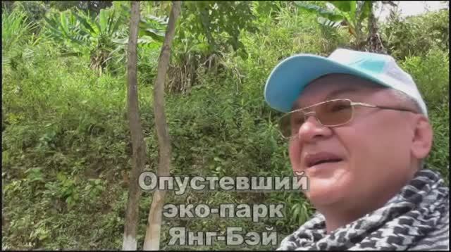 Янг-Бэй 5 смотреть онлайн