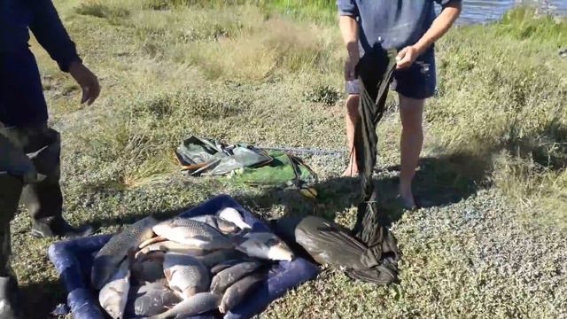 пруд Черноморец 13.06.19г. Улов рыбака смотреть онлайн